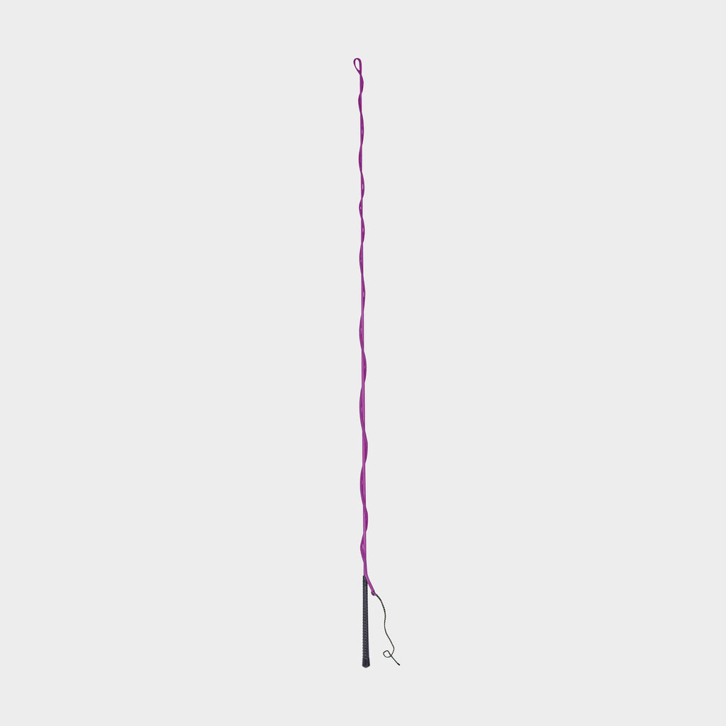 Brights Lunge Whip