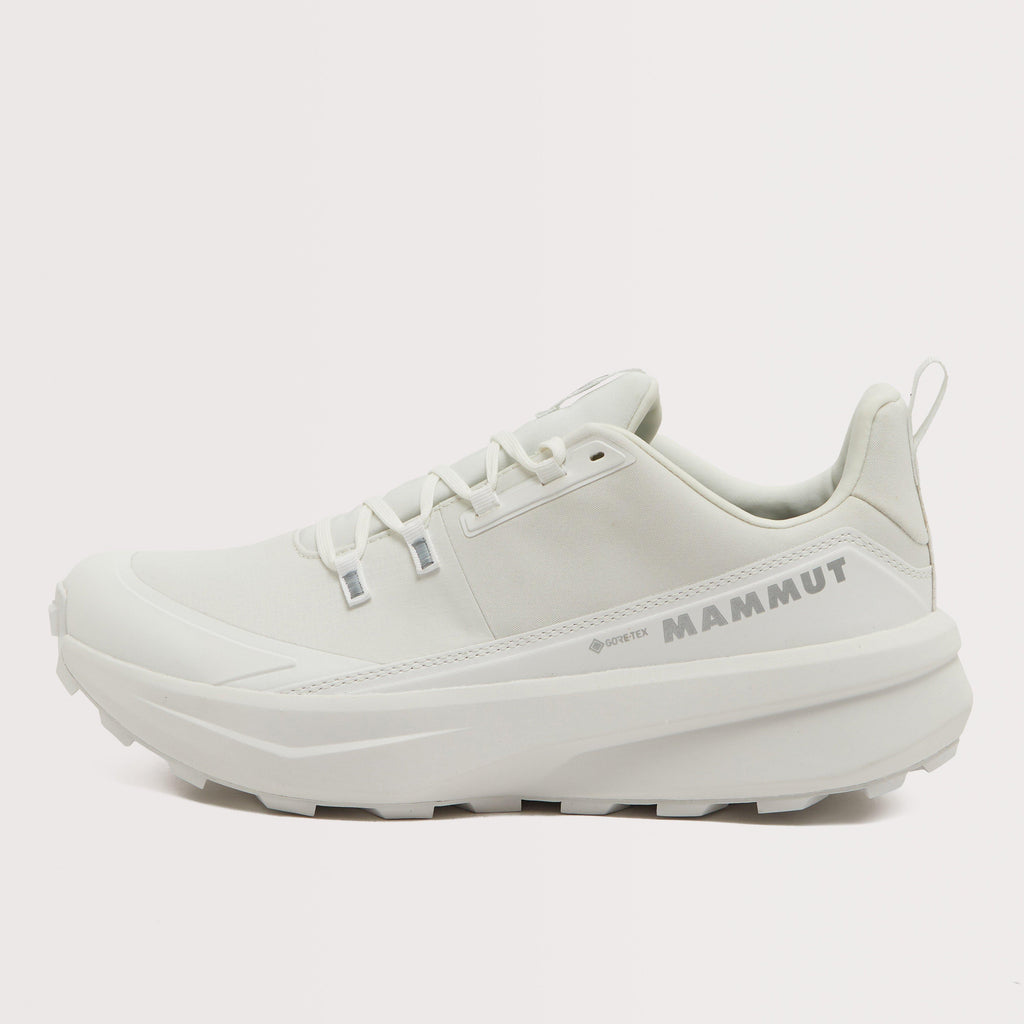 Men's Aernergy Mountain GTX Shoes