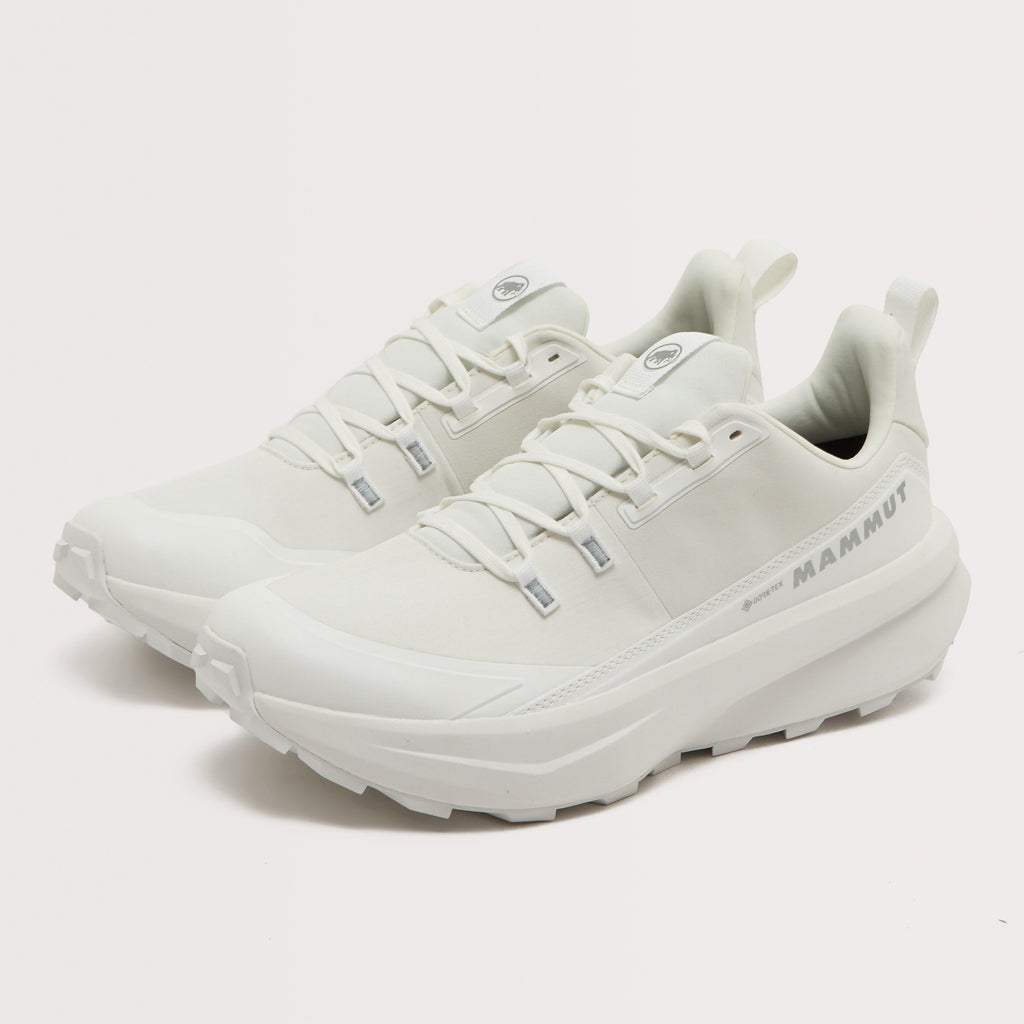 Men's Aernergy Mountain GTX Shoes