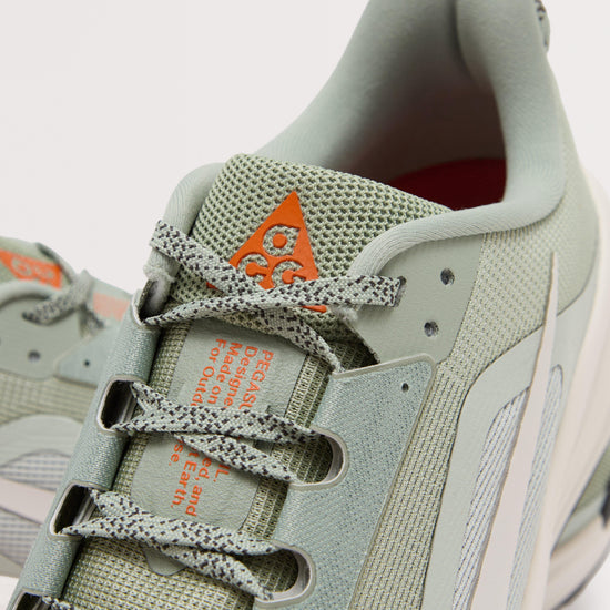 Men's Pegasus Trail Running Shoes