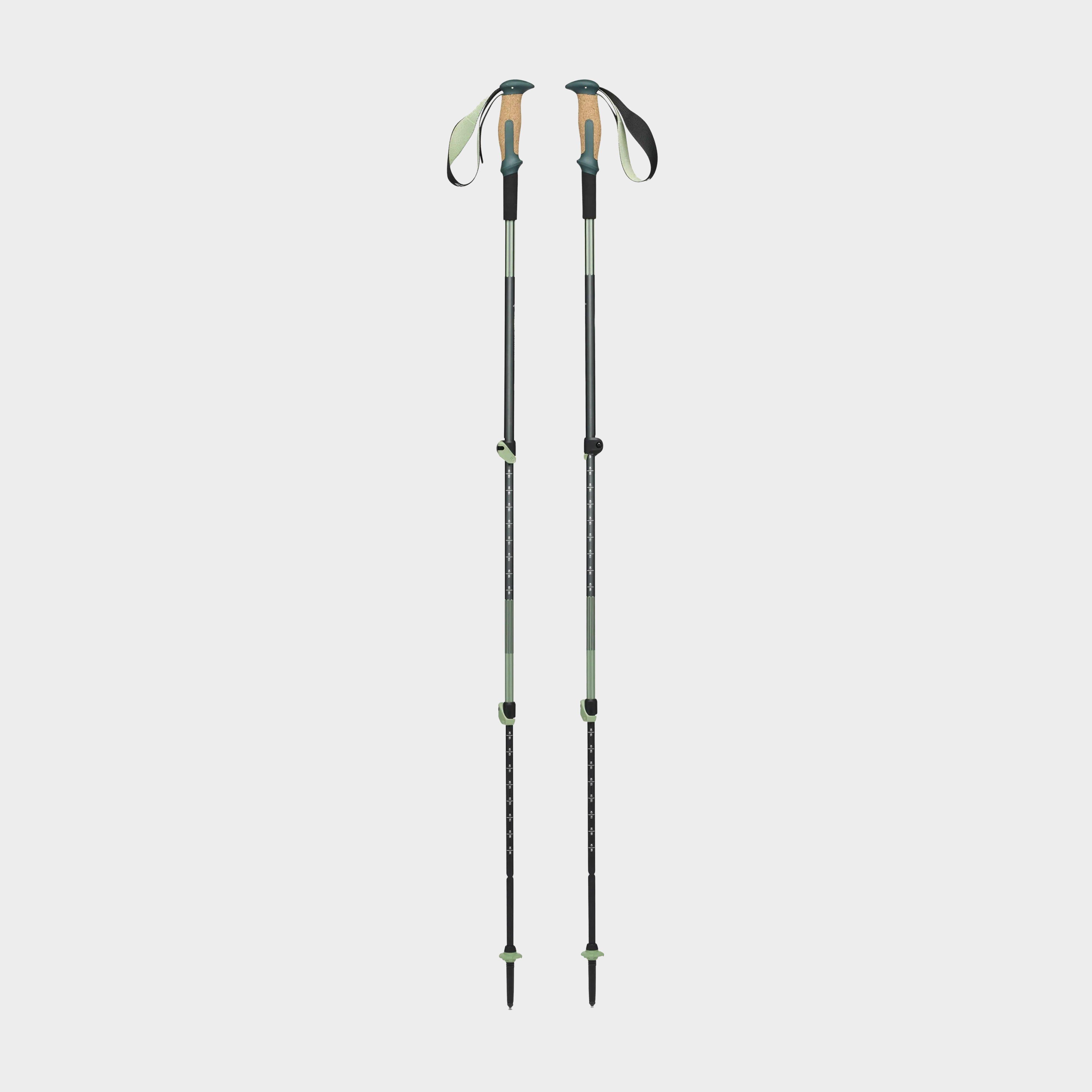 Trail Vista Shock Walking Poles
