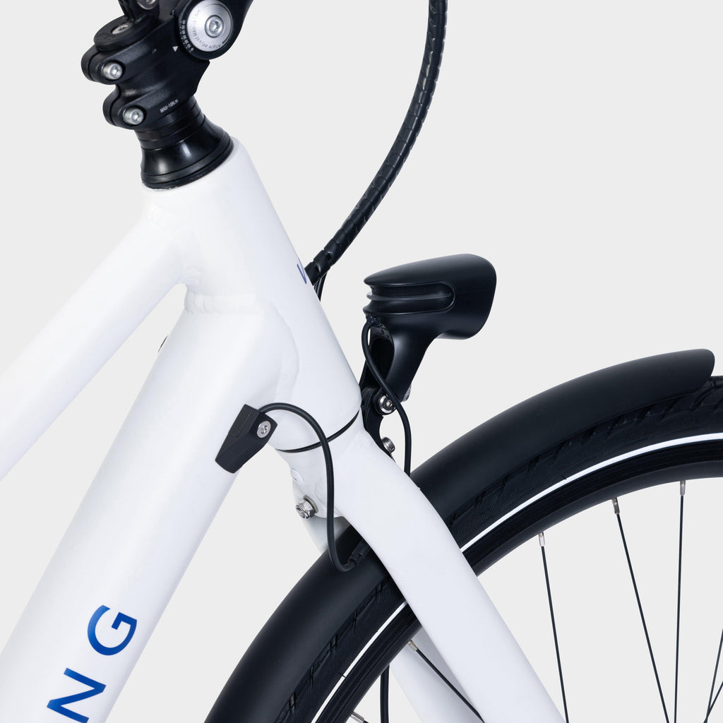 Urban Eco Comfort E-Bike