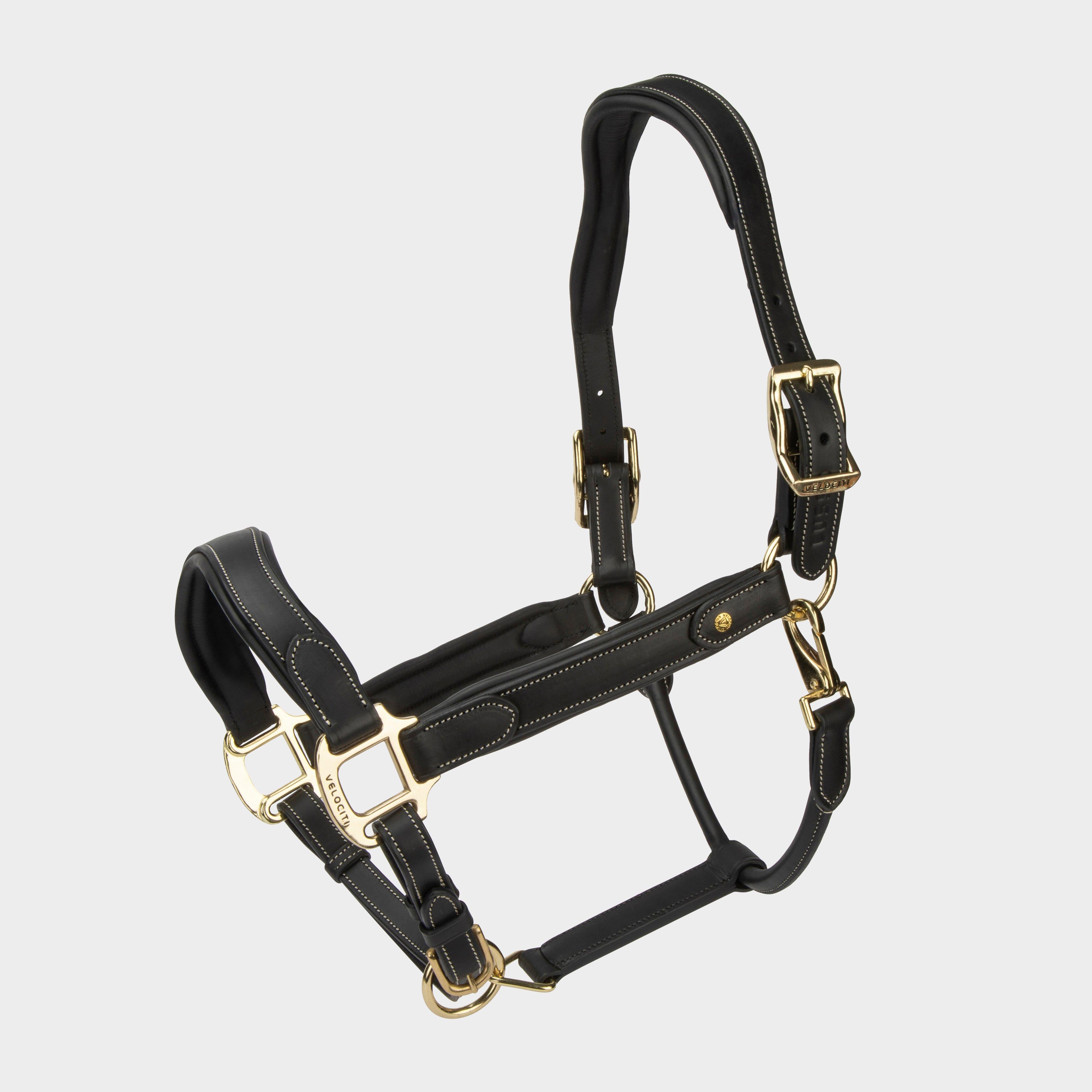 Lusso Lorca Leather Headcollar Black