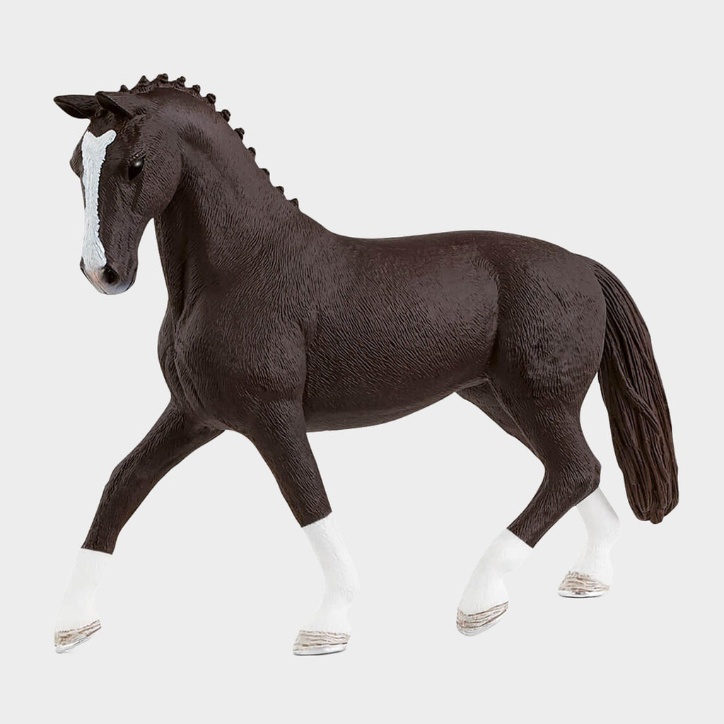 Hanoverian Mare