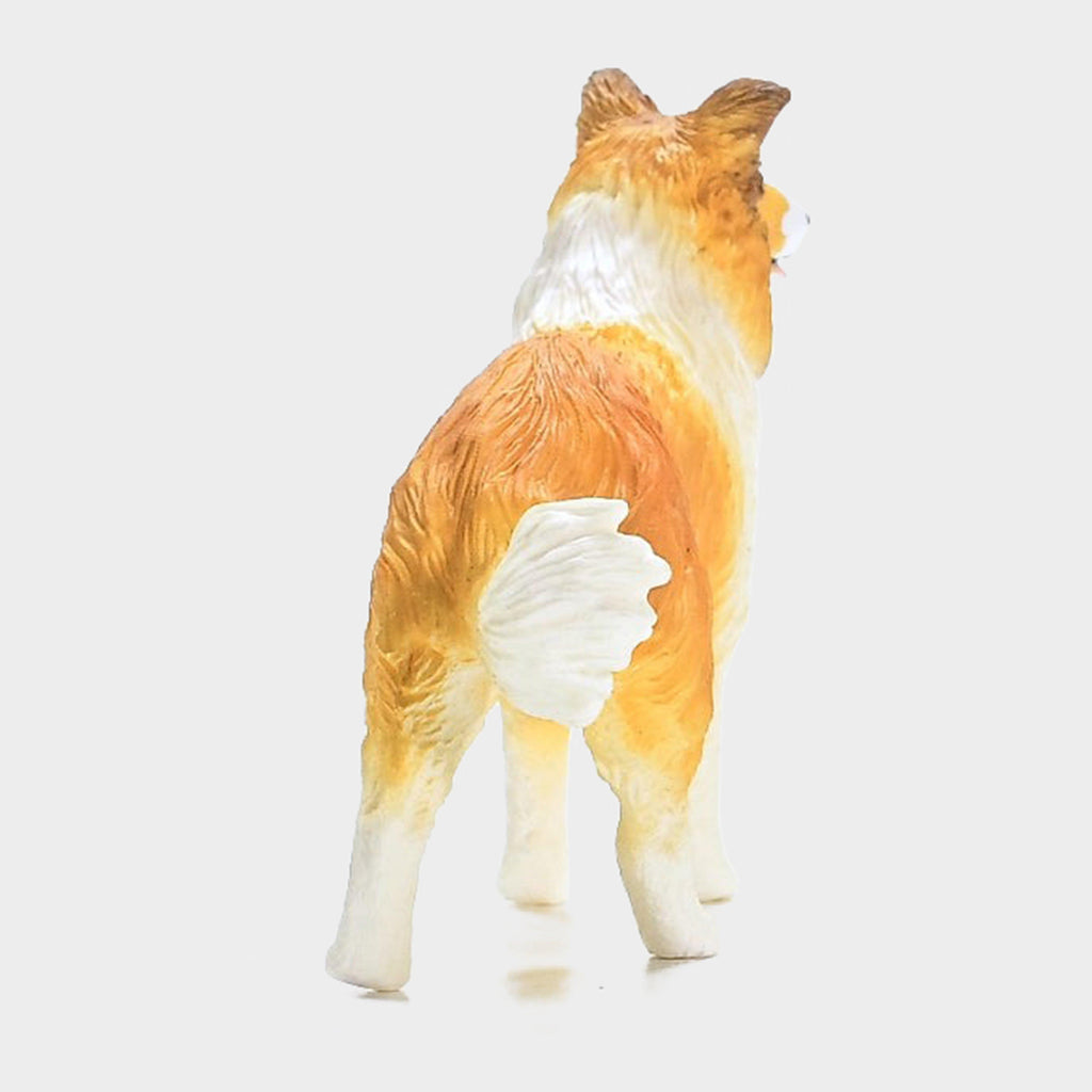 Collie Dog