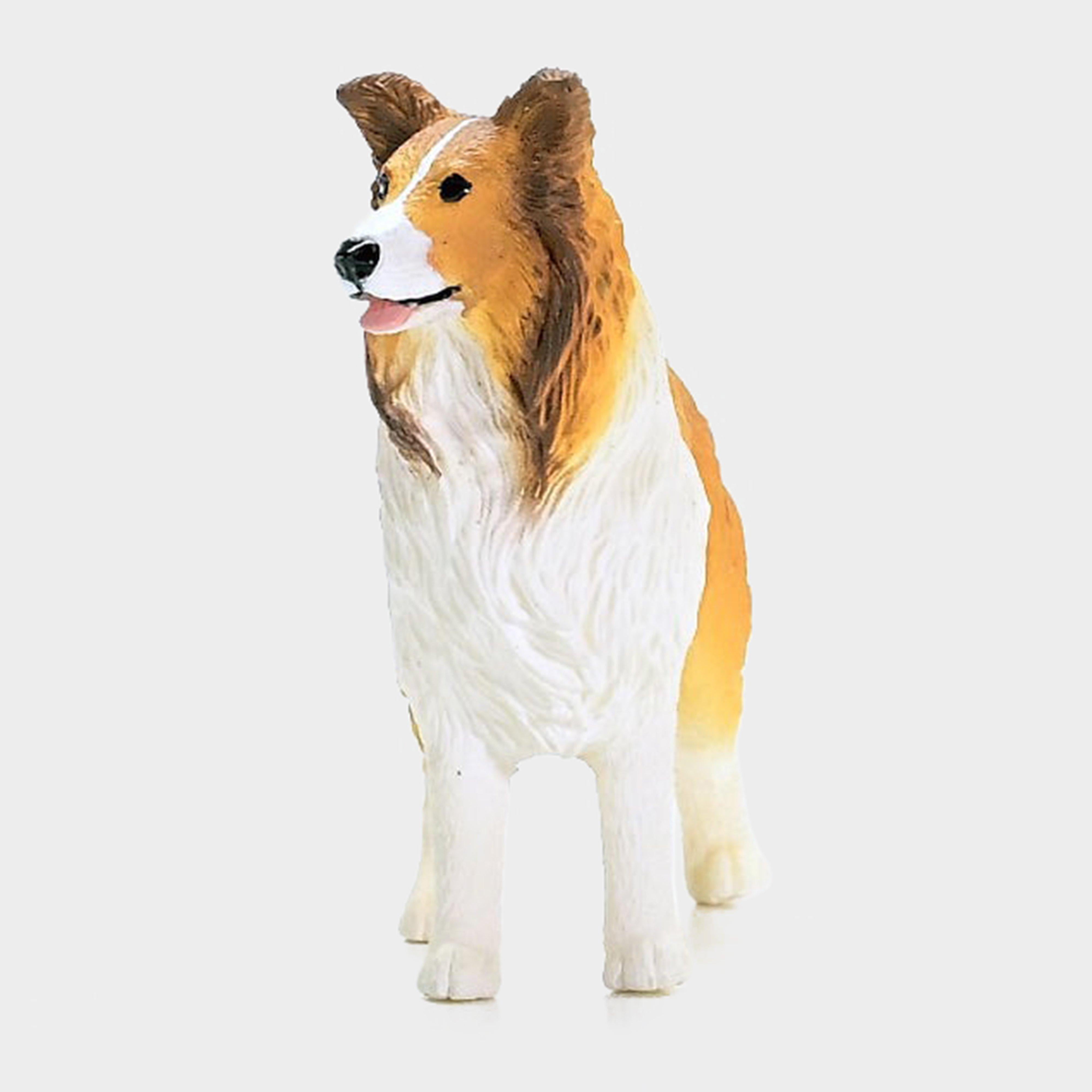 Collie Dog