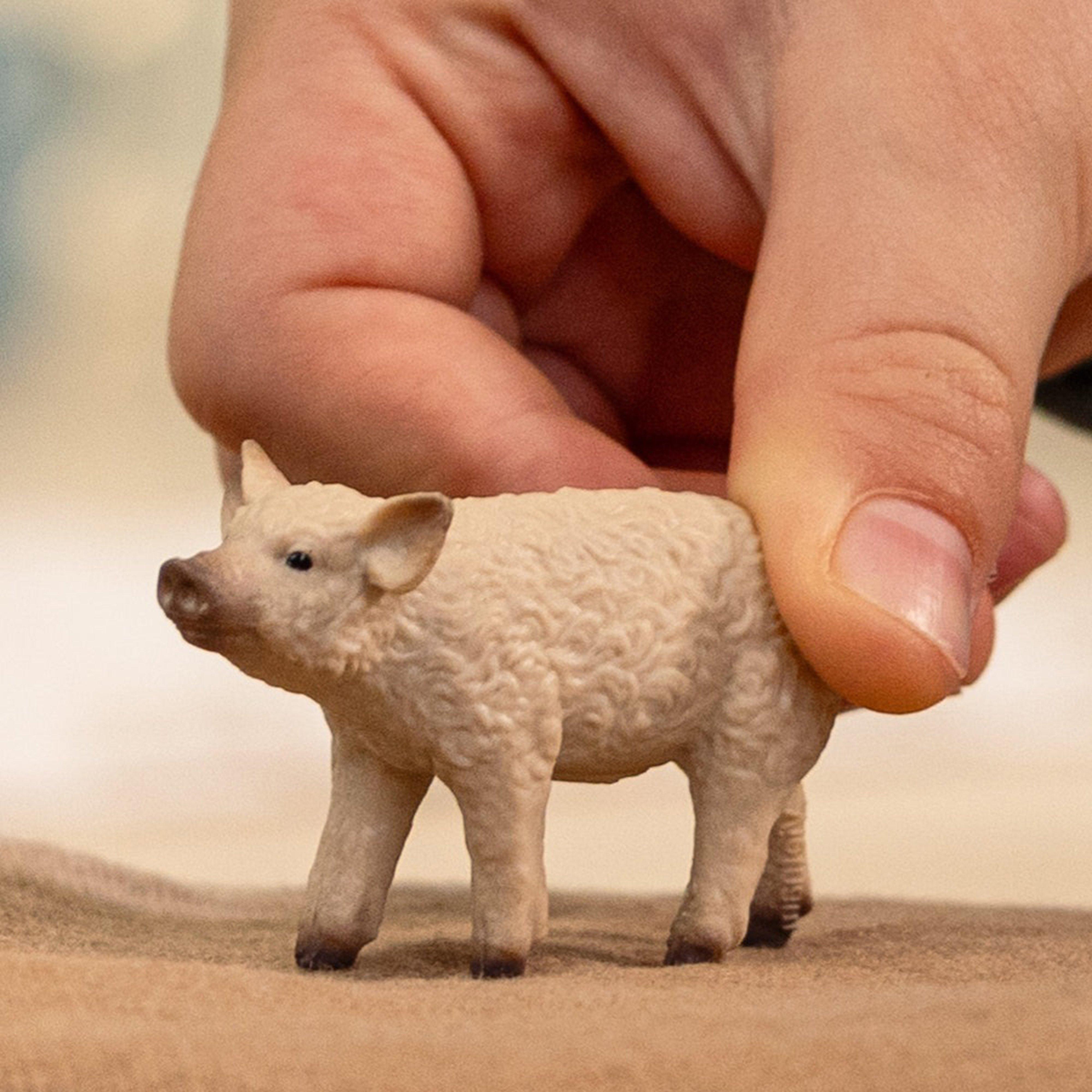 Mangalica Piglet