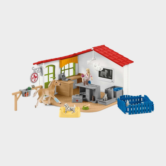 Veterinarian Practice With Pets