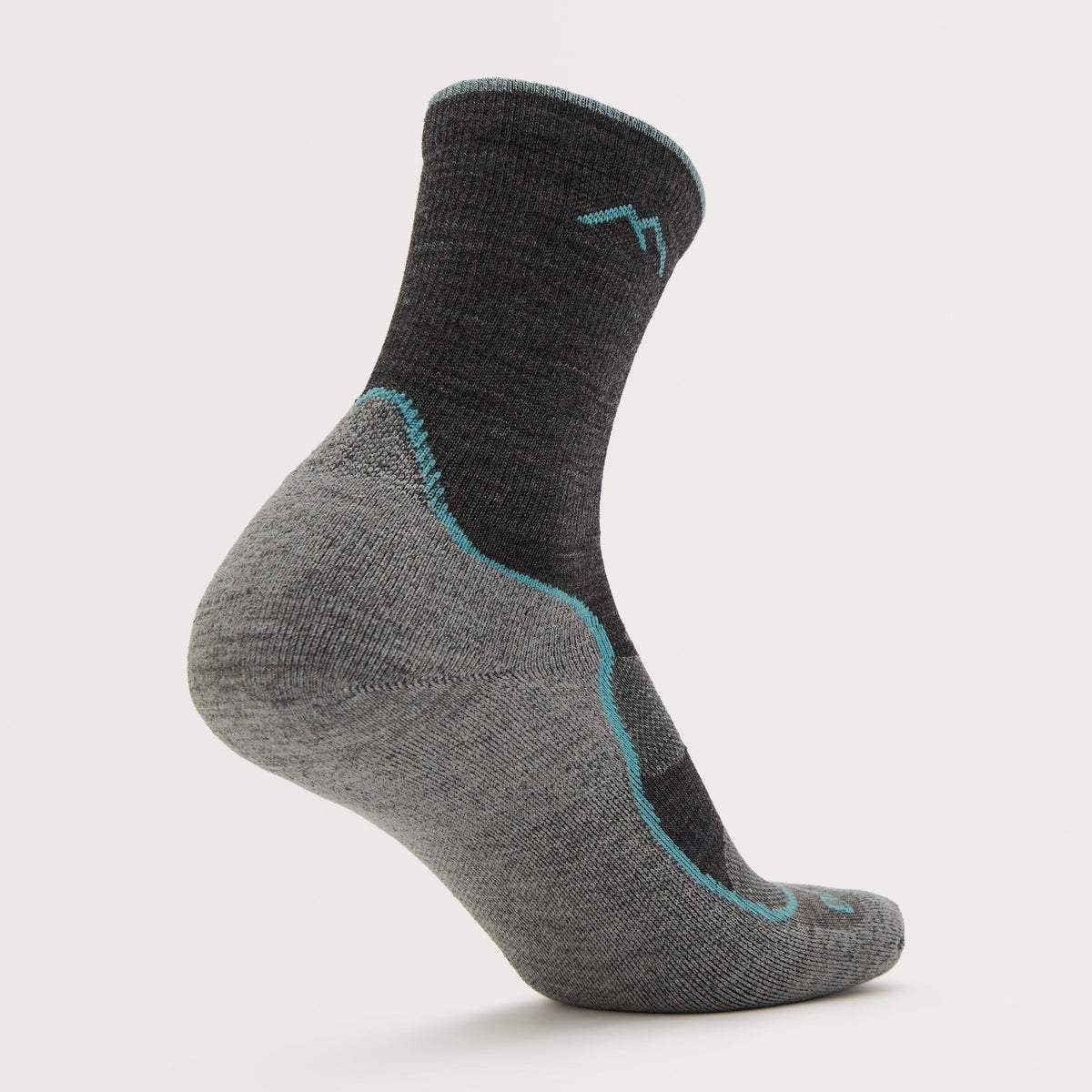 Women’s Light Hiker Micro Crew Lightweight Cushion Socks