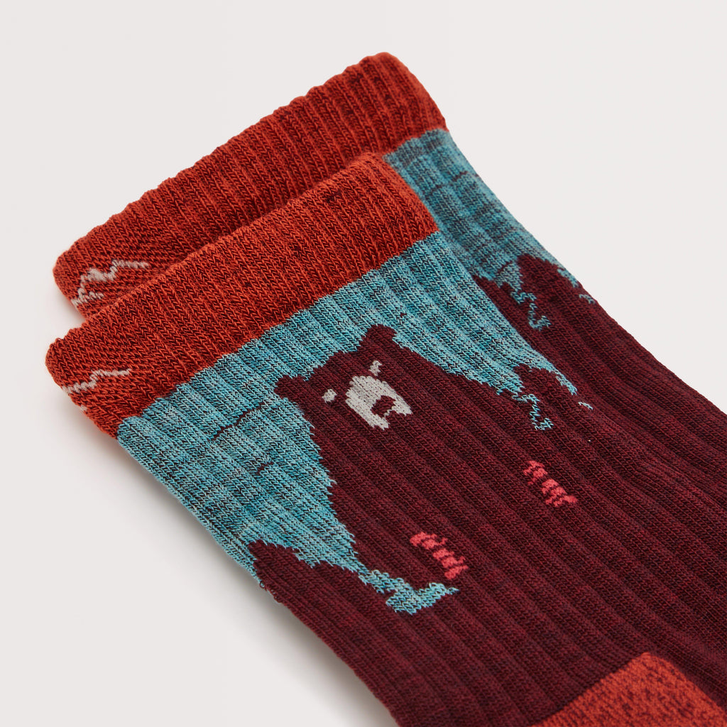 Women’s Bear Town Micro Crew Lightweight Cushion Socks