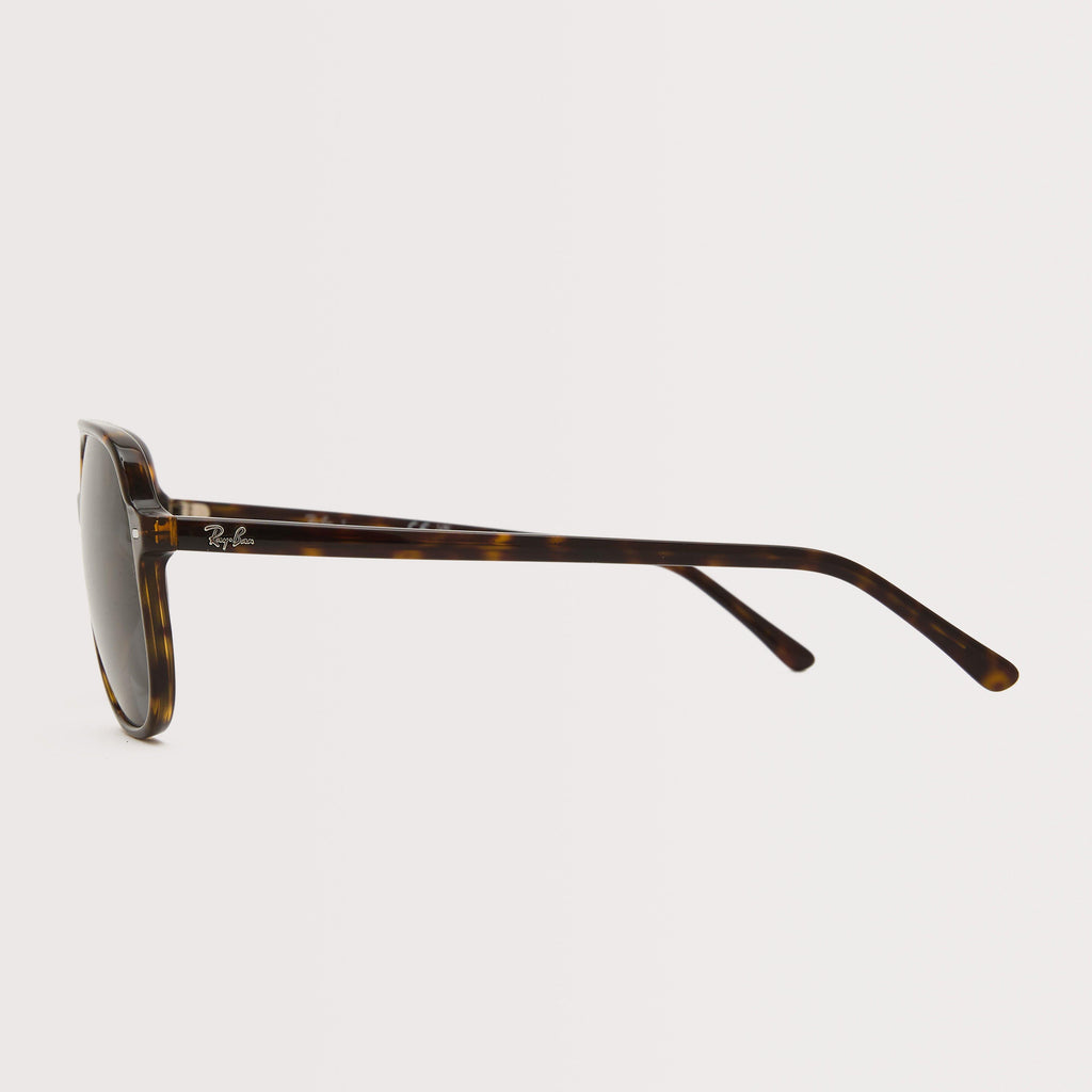 Bill Sunglasses