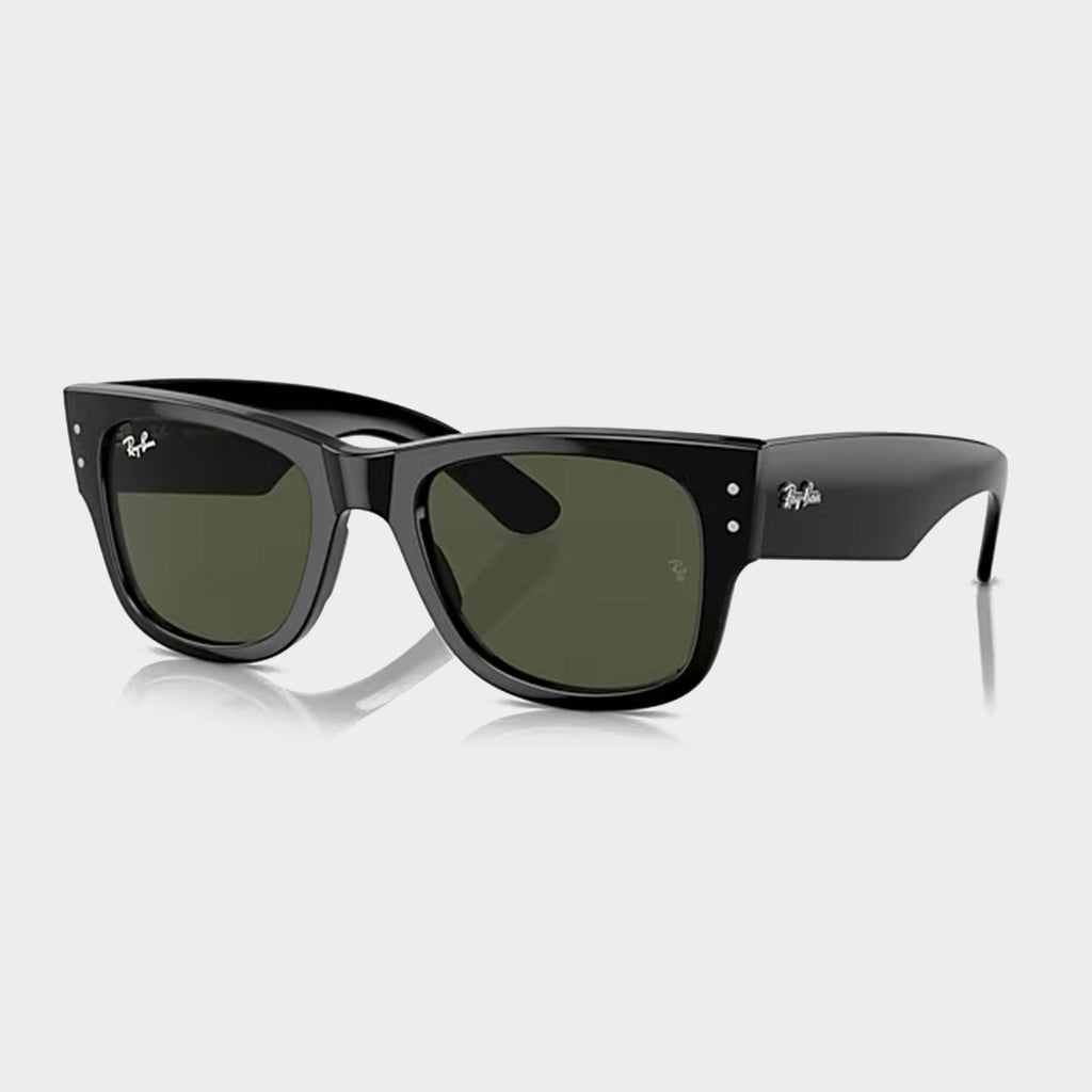 Mega Wayfarer Sunglasses