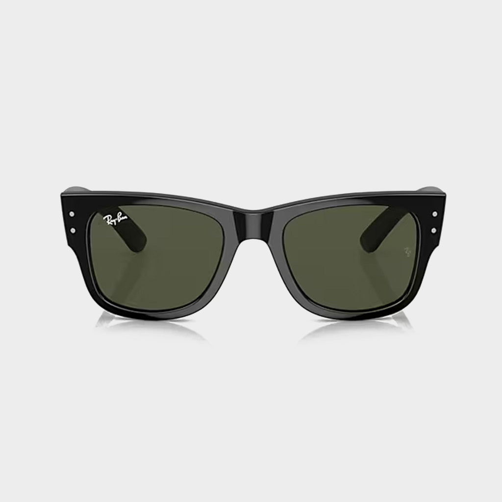 Mega Wayfarer Sunglasses