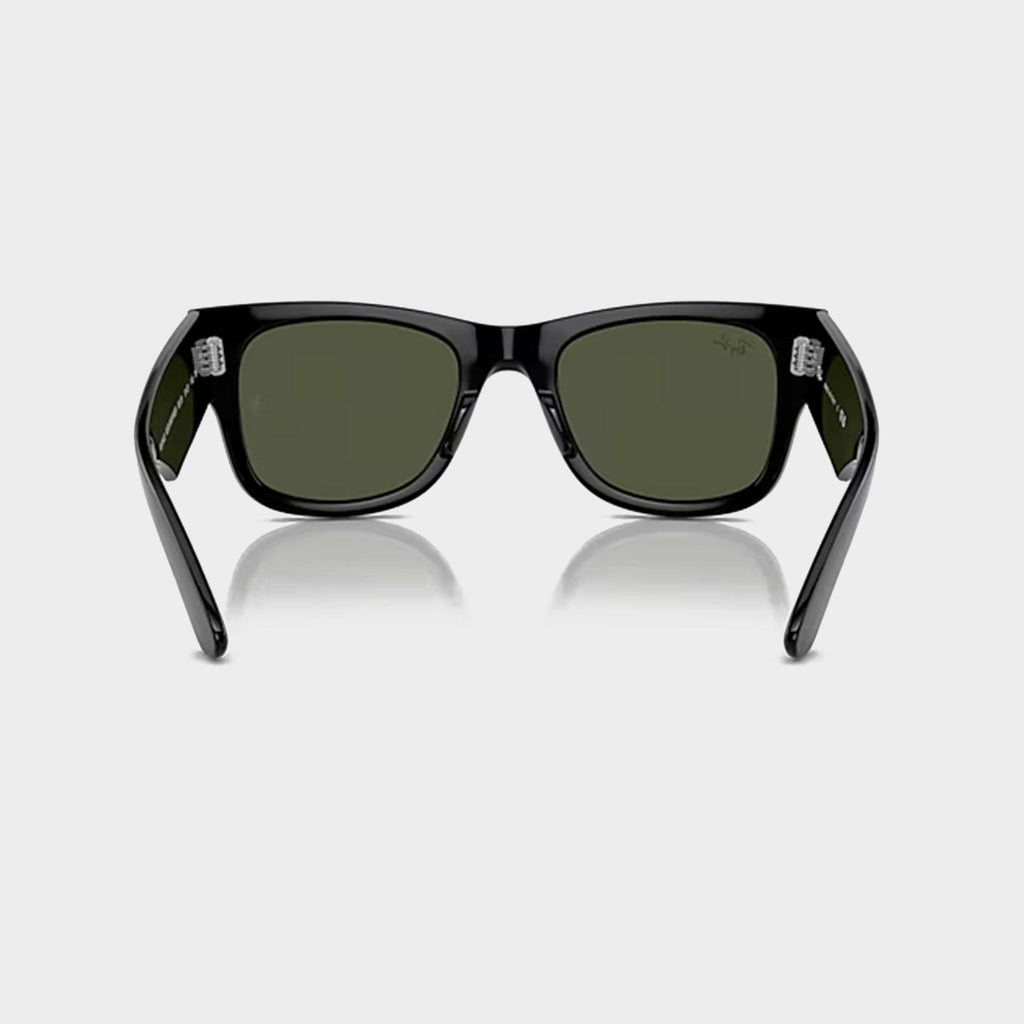 Mega Wayfarer Sunglasses