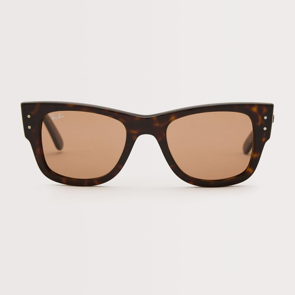Mega Wayfarer Sunglasses