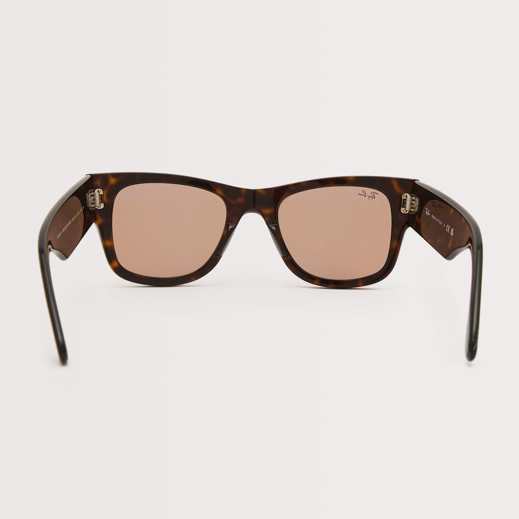Mega Wayfarer Sunglasses