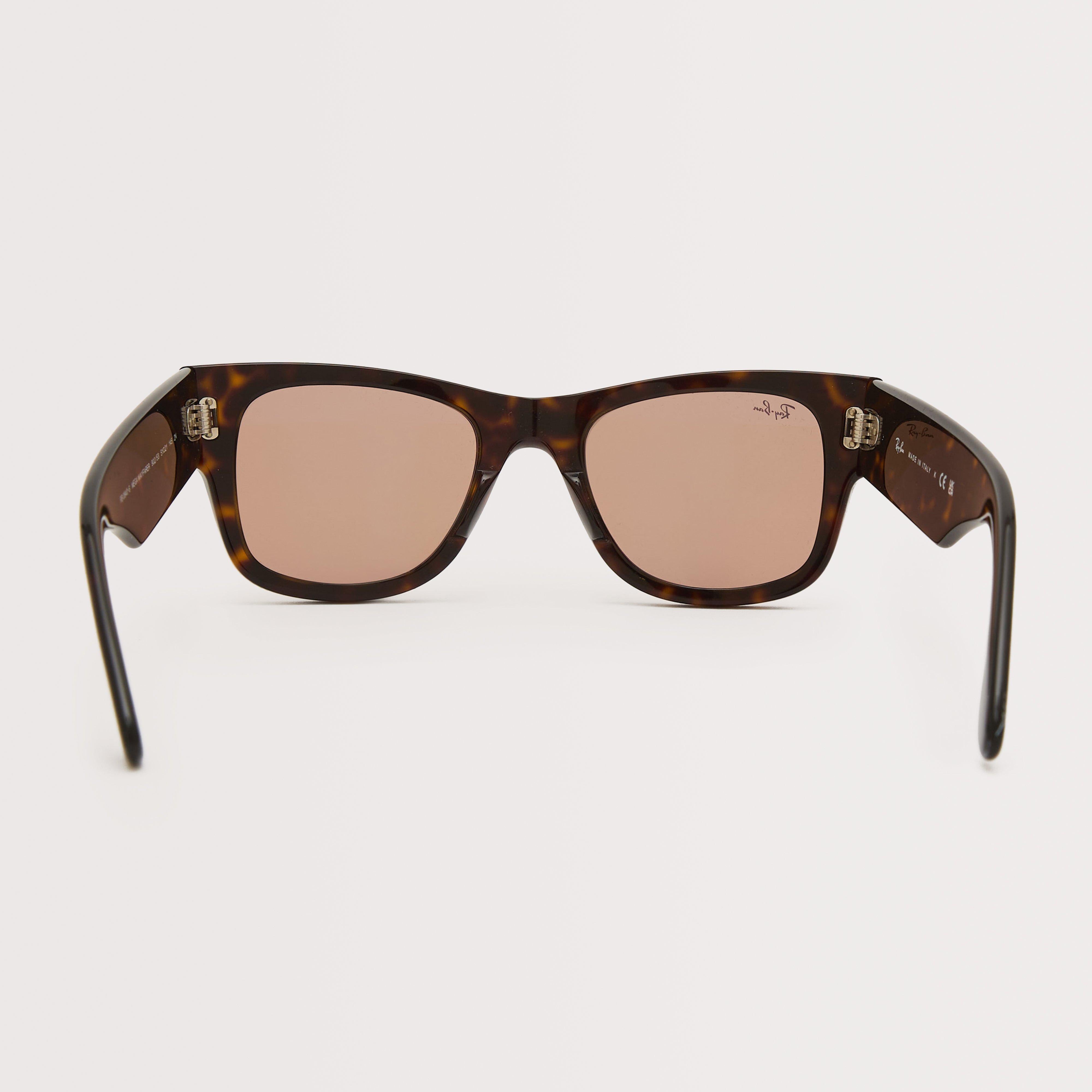 Mega Wayfarer Sunglasses