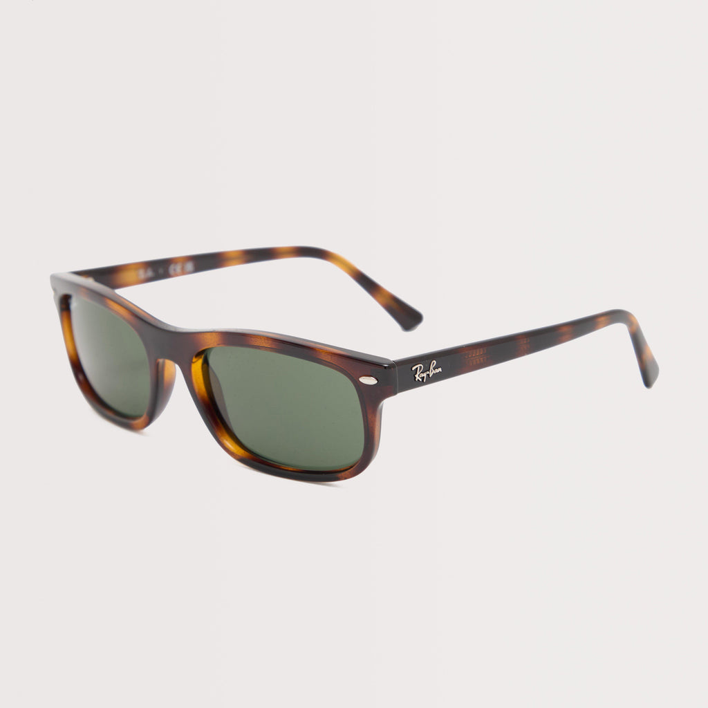 RB2224 Sunglasses