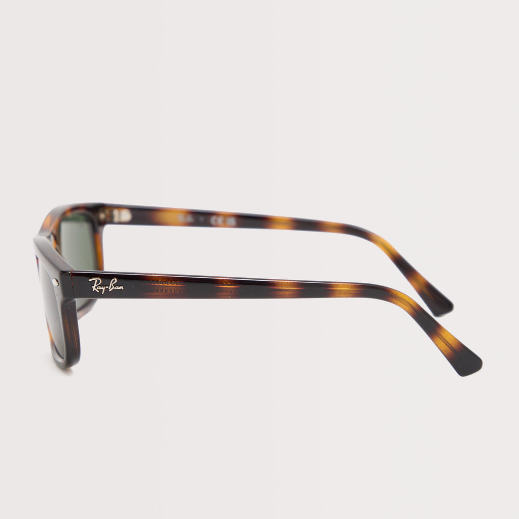 RB2224 Sunglasses