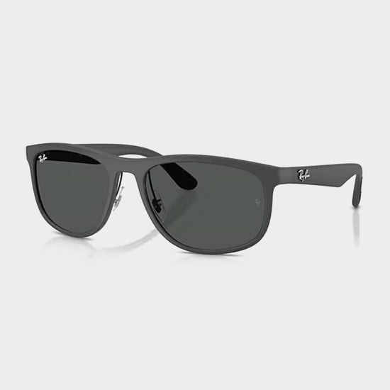 RB4468 Sunglasses