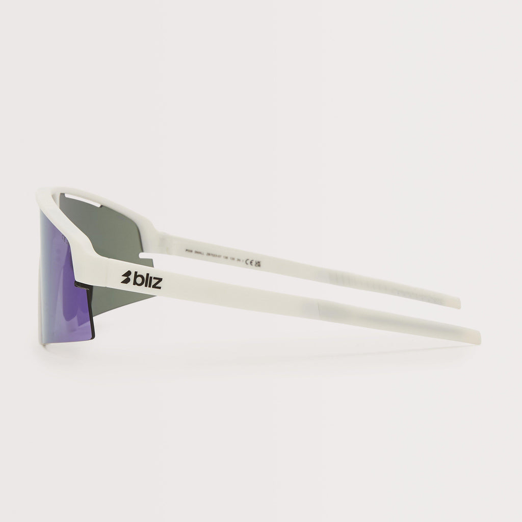 P006 Sunglasses