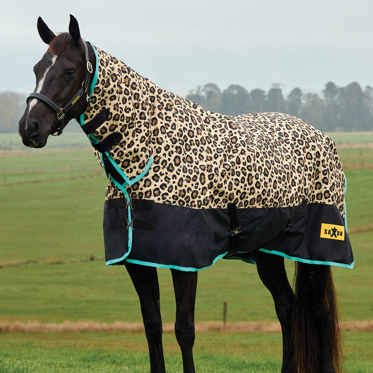 Defiant Combo Neck Stable Rug 200G