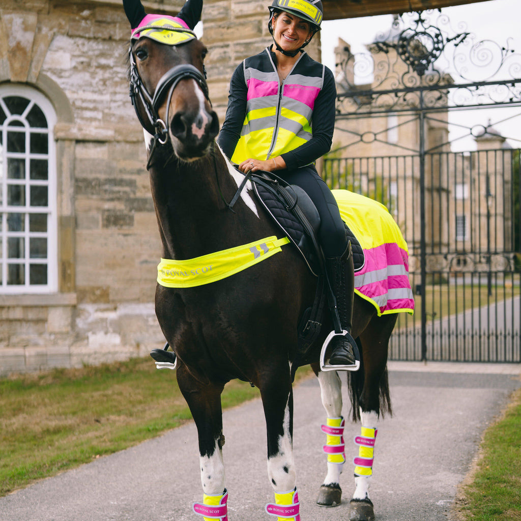 Hi-Viz Ear Veil