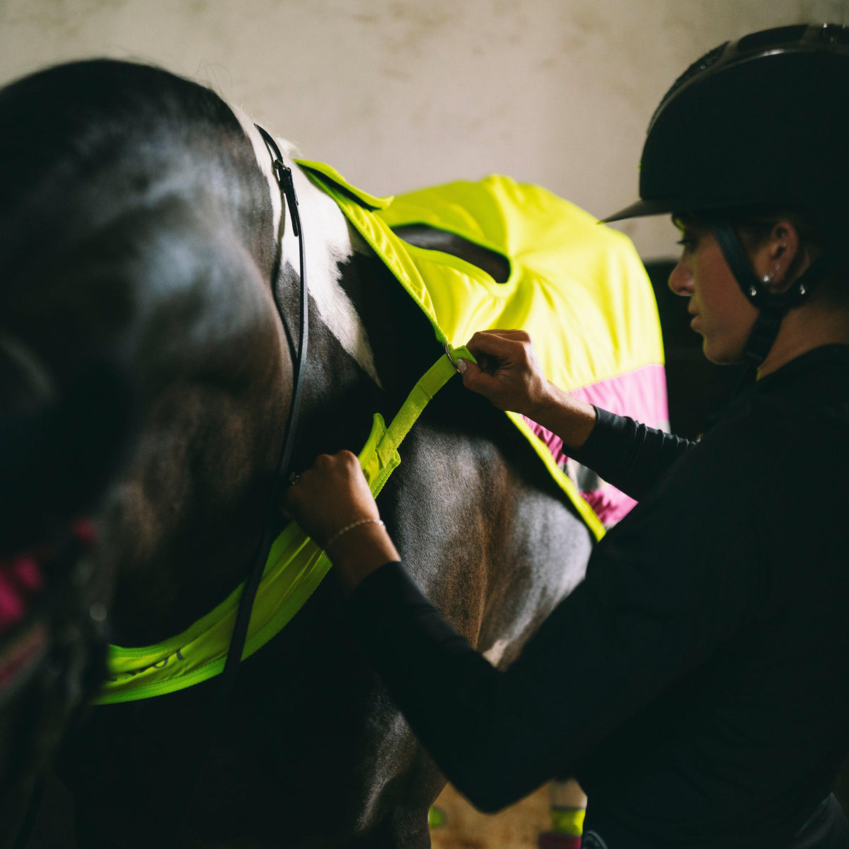 Hi-Viz Exercise Sheet