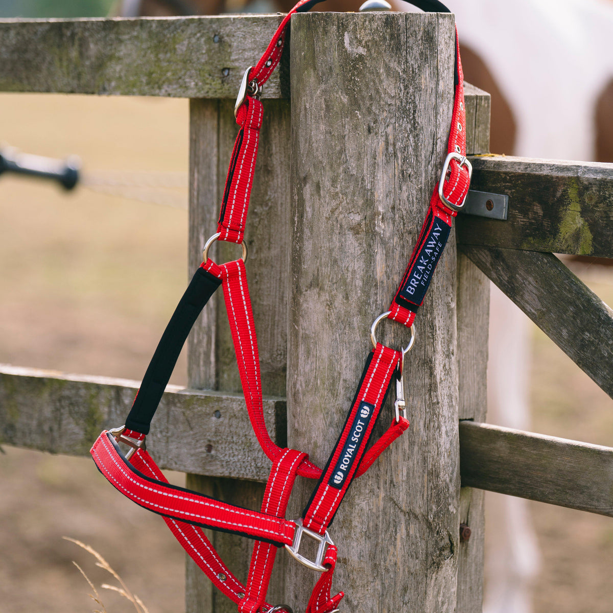 Fieldsafe Headcollar