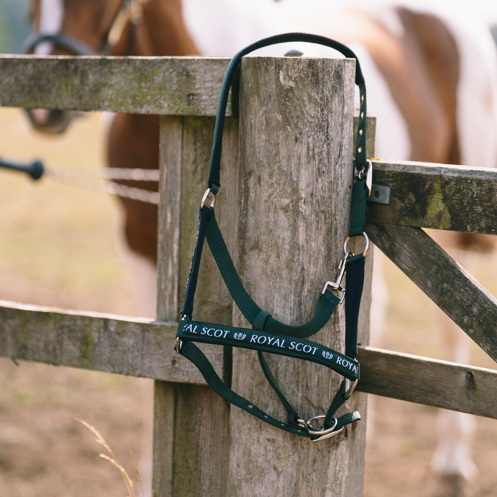 Logo Headcollar