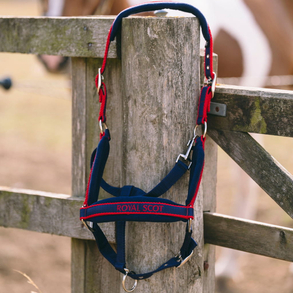 Fleece Padded Headcollar