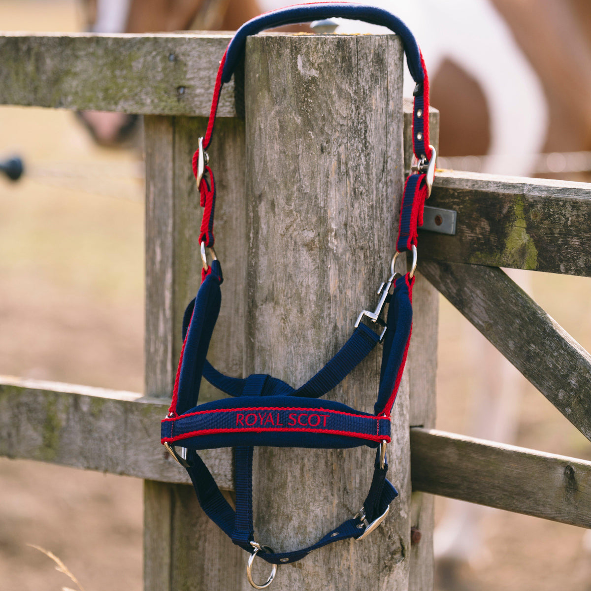 Fleece Padded Headcollar