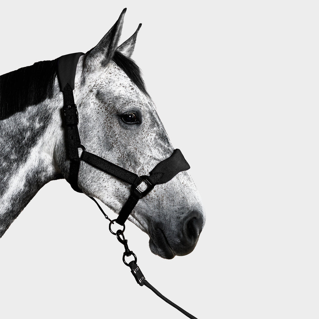 Head Collar