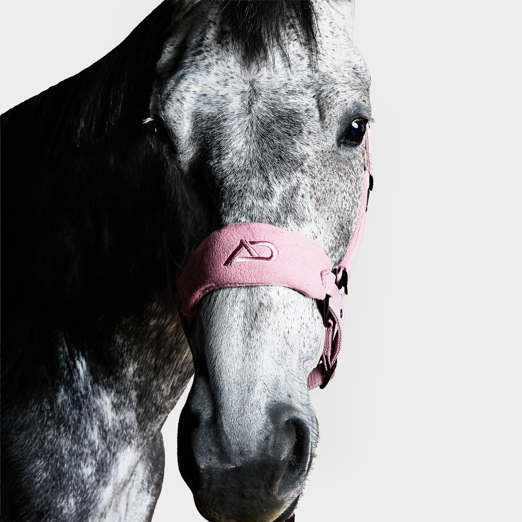 Head Collar