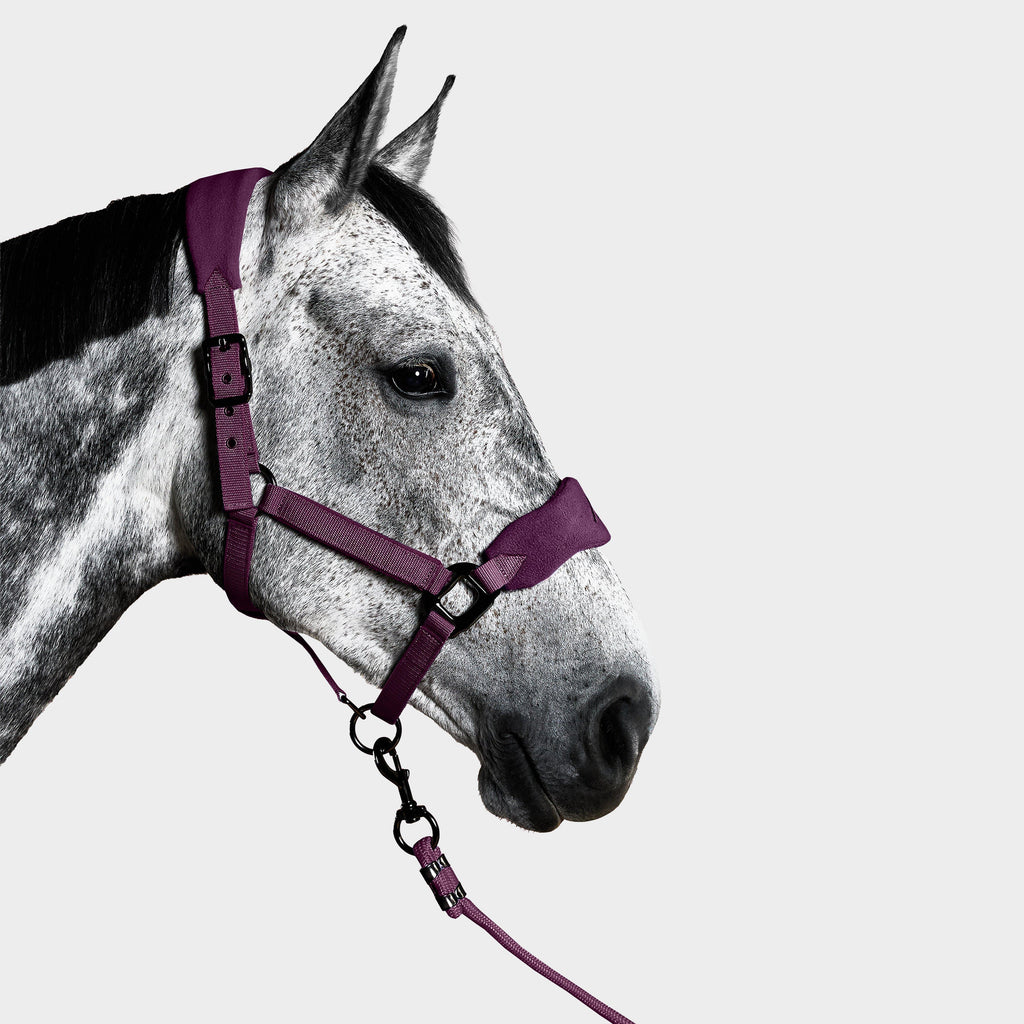 Head Collar
