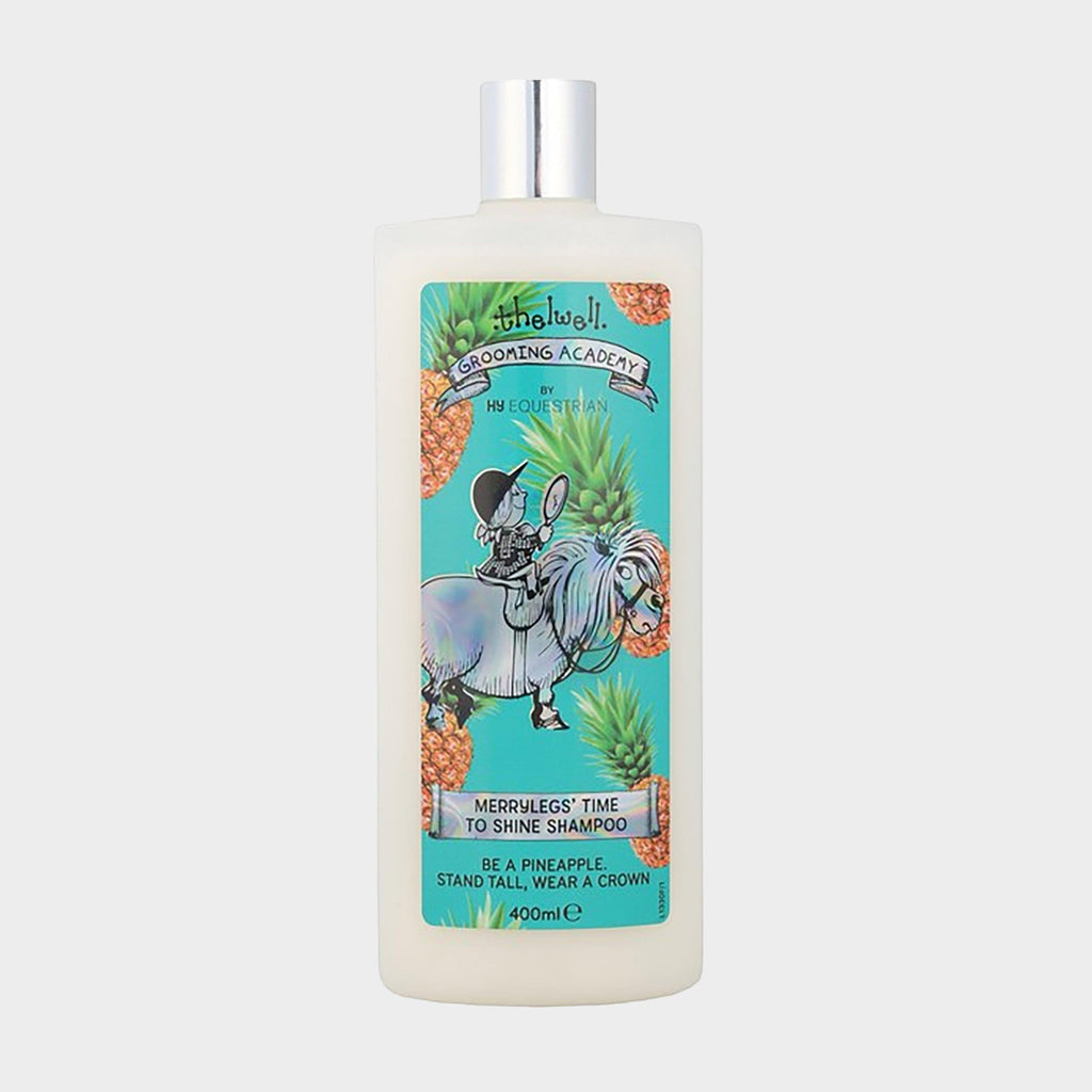 Thelwell Time To Shine Shampoo 400ml